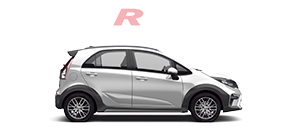 model-IRIZ (1)